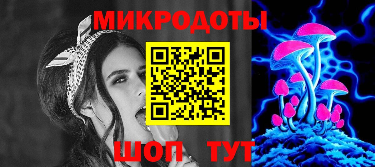 Новороссийск  продажа наркотиков  Вход с VPN  Галлюциногенные грибы Psilocybe 